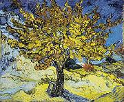 Vincent Van Gogh Mulberry Tree Sweden oil painting reproduction